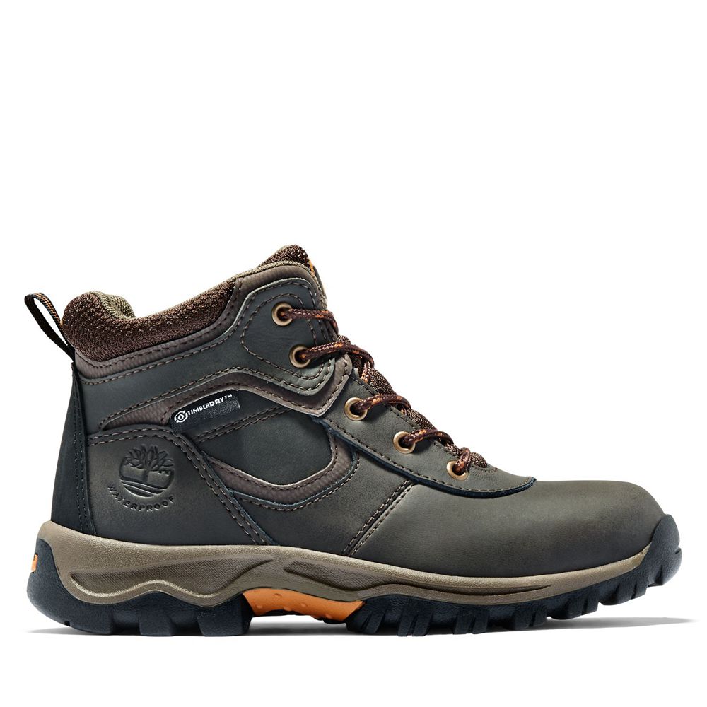 Bocanci De Drumeție Timberland Copii Maro Inchis - Youth Mt. Maddsen Waterproof - Romania - WBFKMY02